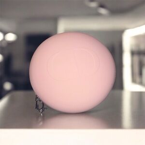 Chic Pink Dior Round Zipper Case/NWOT